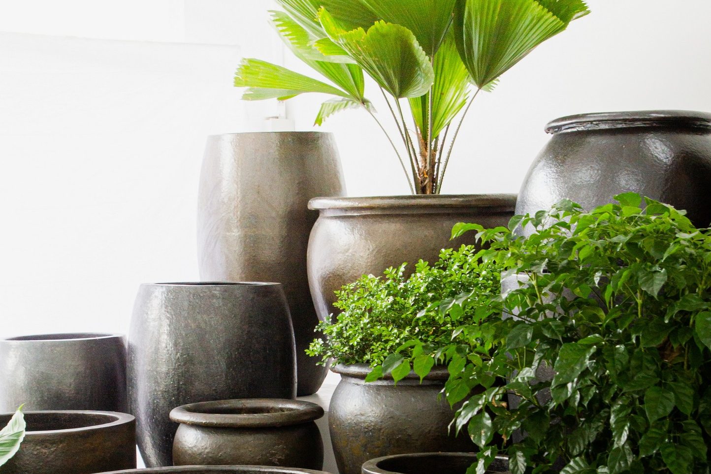 Lava Glazed Pottery Collection