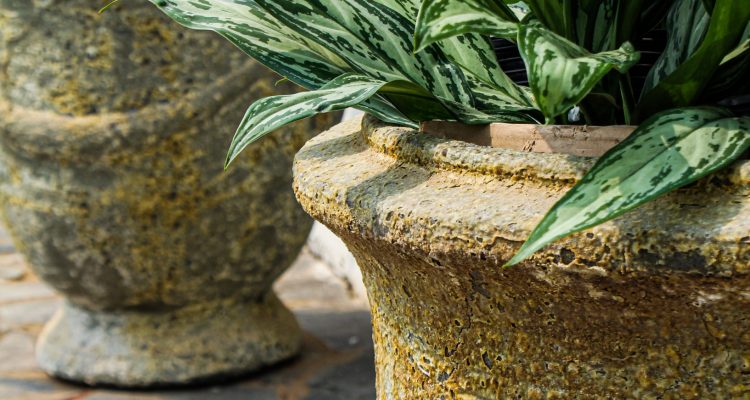 The French Planter: Why Classic Silhouettes are Dominating Luxury Landscape Design