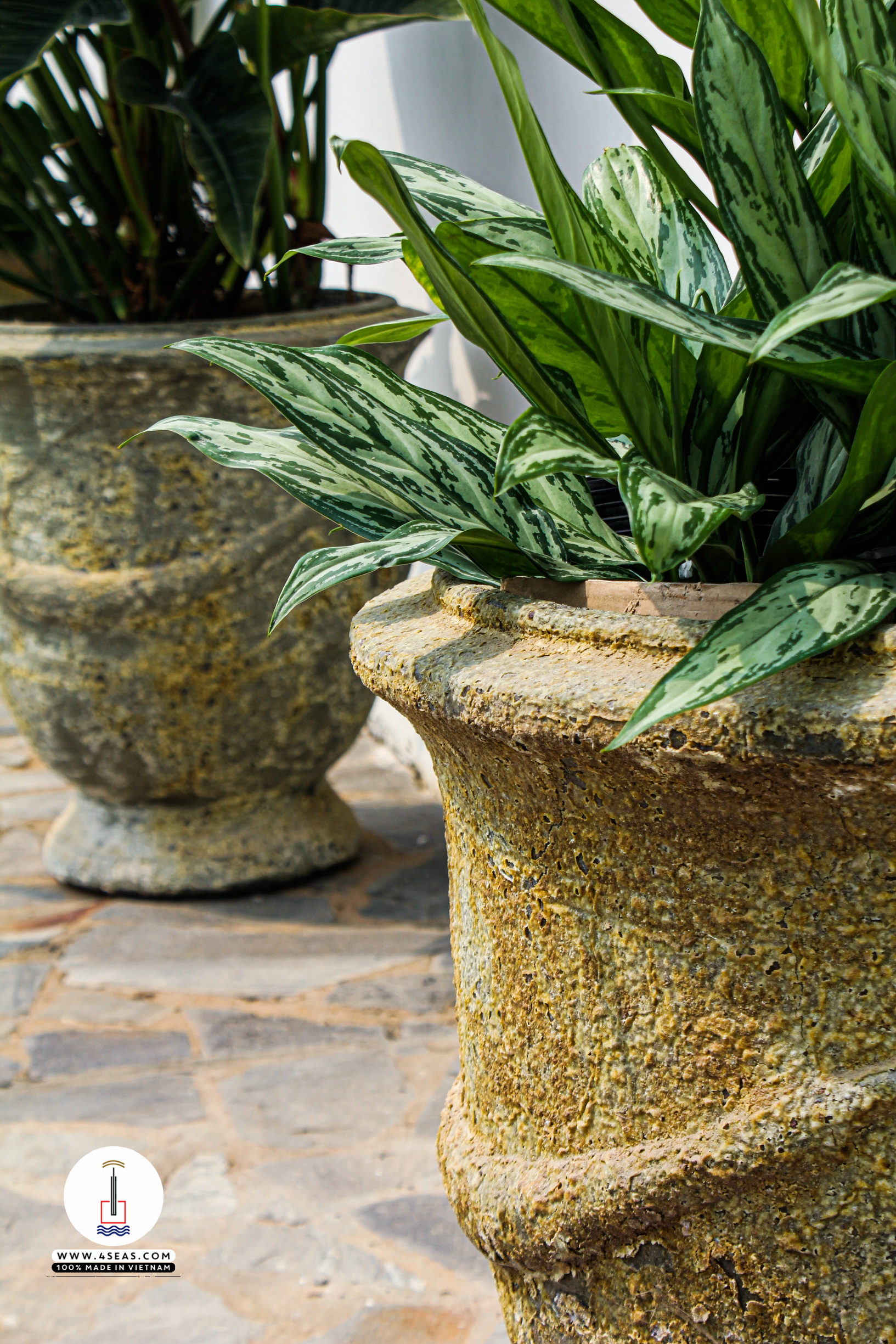 The French Planter: Why Classic Silhouettes are Dominating Luxury Landscape Design